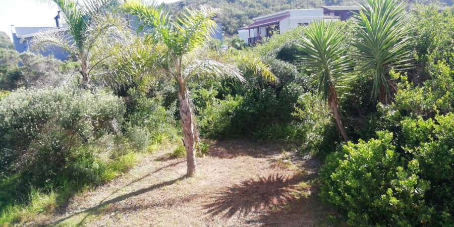 To Let 4 Bedroom Property for Rent in Cola Beach Western Cape